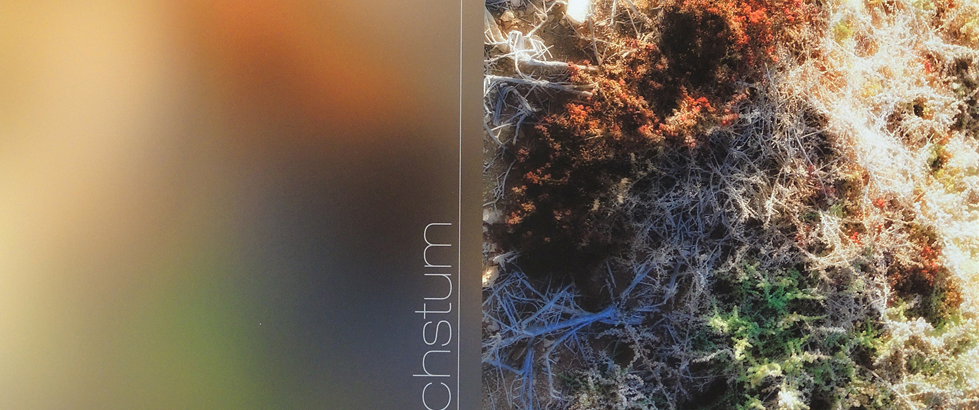 Wachstum <p> <br> (517, Klement) – derzeit ausgeliehen